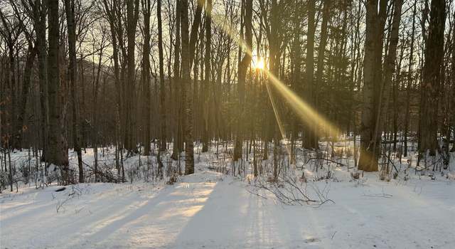 Photo of Lot 21.30 Pond Rd, Grahamsville, NY 12765