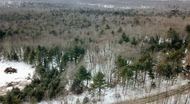 Photo of Low Rd, Neversink, NY 12765