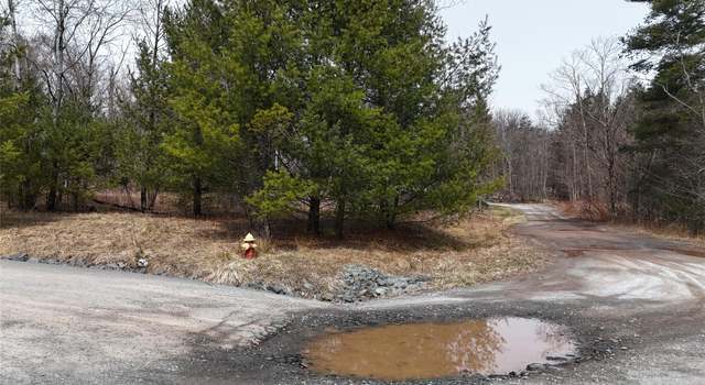 Photo of Maple Ave, South Fallsburg, NY 12779