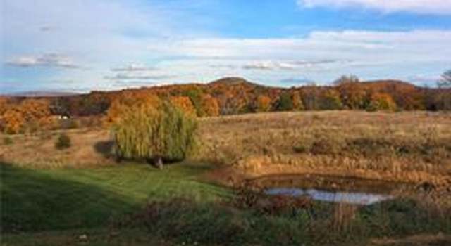 Photo of 8 Silvertail Rd, Chester, NY 10918