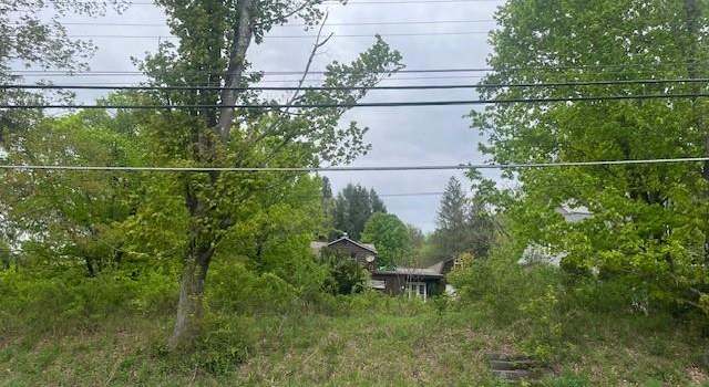 Photo of 23 Maiden Ln, Livingston Manor, NY 12758