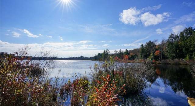 Photo of 0 Amber Lake Rd, Livingston Manor, NY 12758