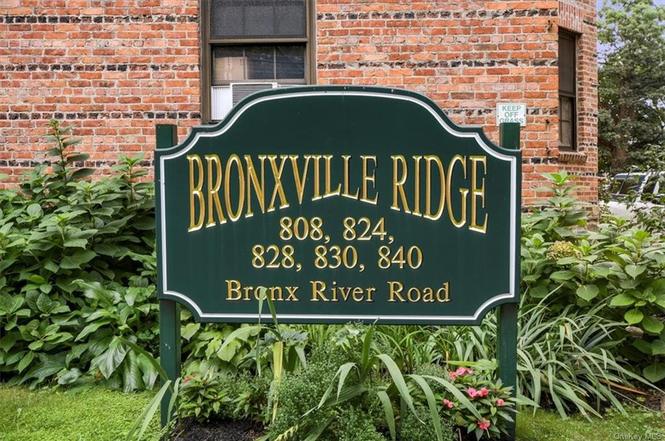 824 Bronx River Rd Unit 5A, Bronxville, NY 10708 | MLS# H6272368 | Redfin