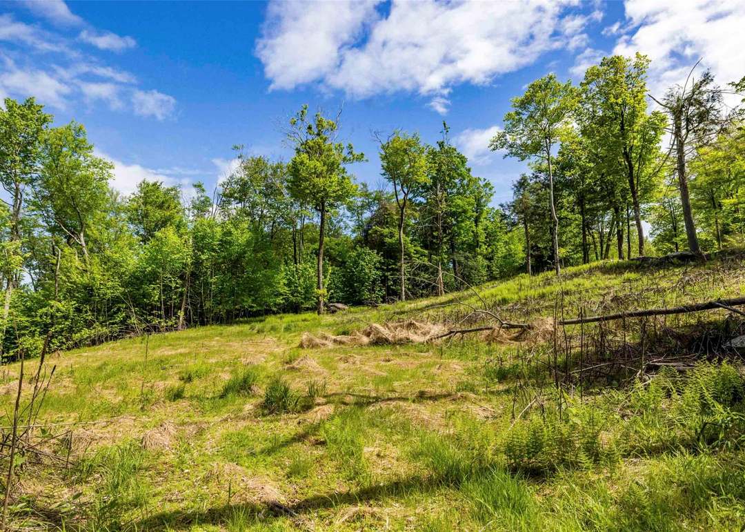 3 Red Rock Rd, Wawarsing, NY 12489