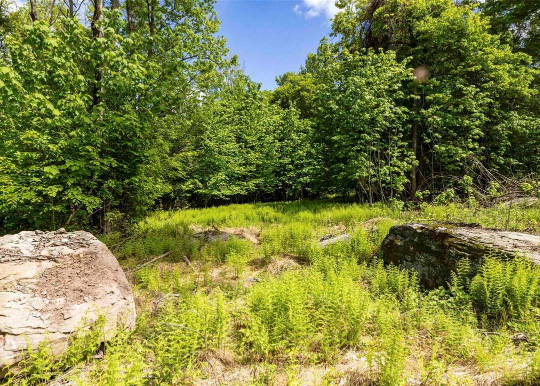3 Red Rock Rd, Wawarsing, NY 12489