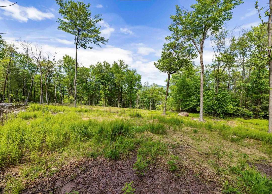 3 Red Rock Rd, Wawarsing, NY 12489