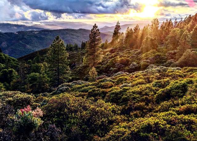 Property at 47700 Bentley Ridge Rd, Covelo, CA 95428