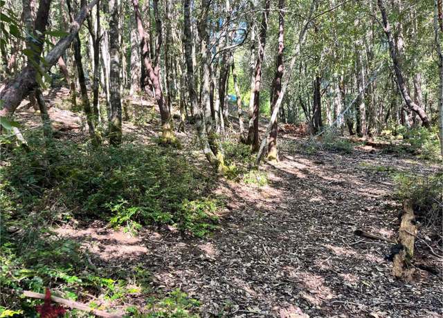 Property at 25143 Blue Jay Pl, Willits, CA 95490