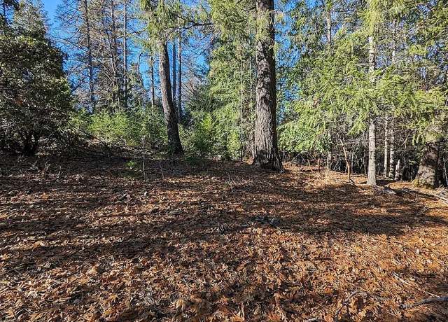 Property at 6414 Green Leaf Ln, Foresthill, CA 95631
