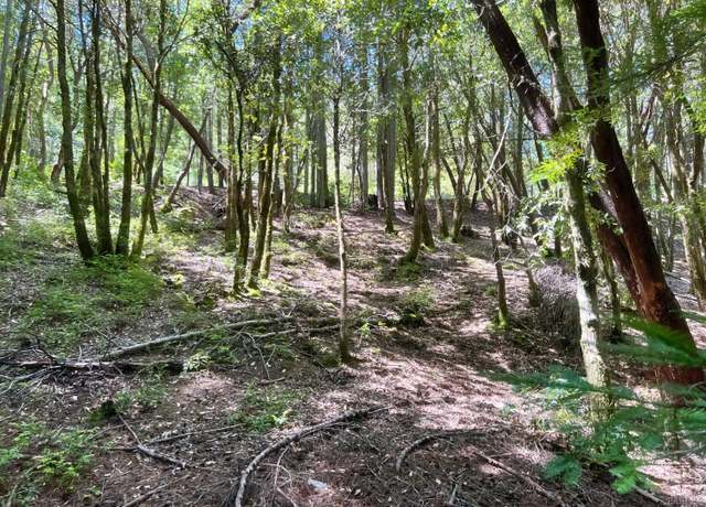 Property at 24121 Lilac Rd, Willits, CA 95490
