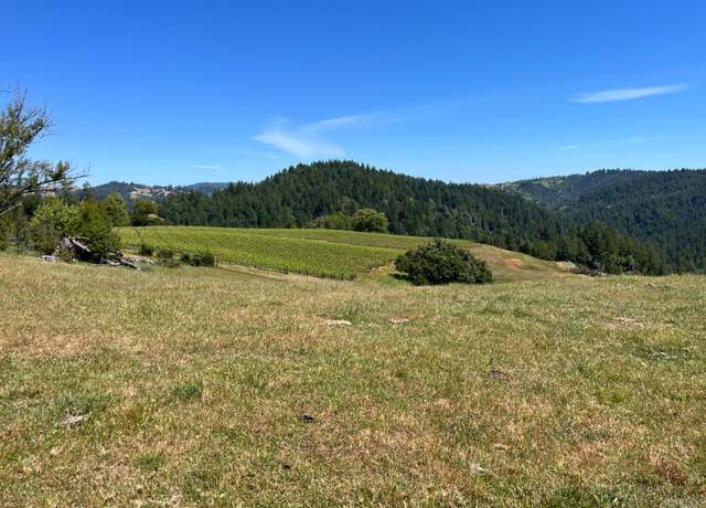 Property at 38555 Hauser Bridge Rd, Cazadero, CA 95421, 5 beds, 2 baths