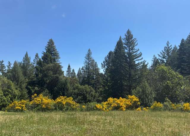 Property at 4579 Mill Creek Rd, Healdsburg, CA 95448