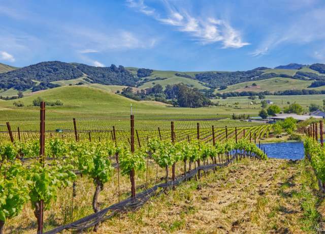 Property at 2590 Chileno Valley Rd, Petaluma, CA 94952