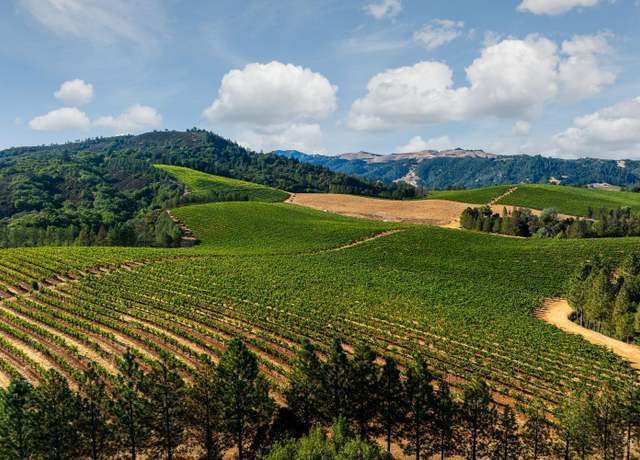 Property at 9965 W Dry Creek Rd, Healdsburg, CA 95448