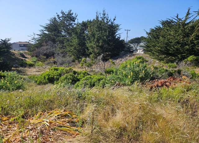 Property at 315 Driftwood Ave, Bodega Bay, CA 94923