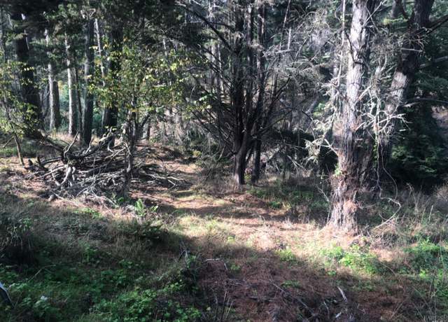 Property at 387 Ocean Pkwy, Bolinas, CA 94924