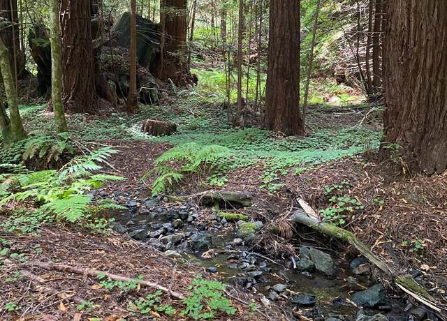 Property at 1545 Cazadero Hwy, Cazadero, CA 95421