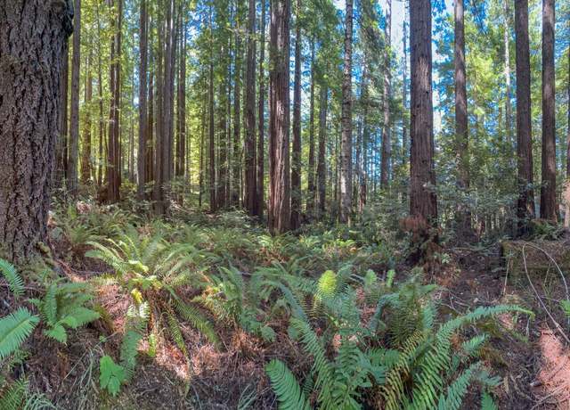 Property at 36505 Deep Woods Dr, The Sea Ranch, CA 95497