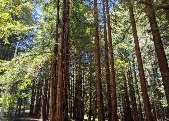 Property at 2068 Joy Ridge Rd, Occidental, CA 95465