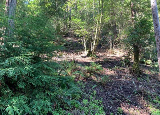 Property at 11953 Hillside Rd, Forestville, CA 95436