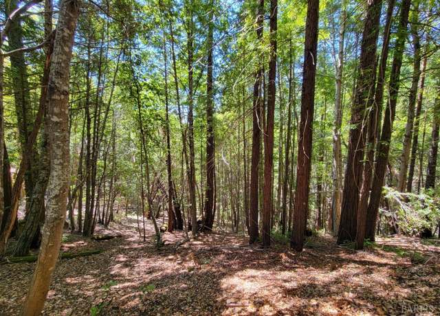 Property at 0 Clover Dr, Willits, CA 95490