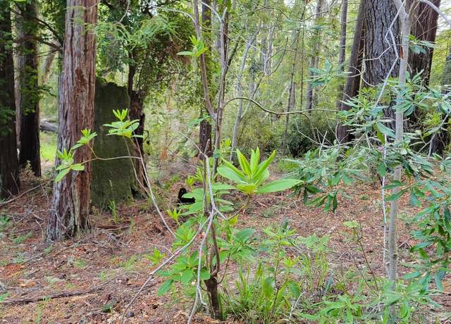 Property at 35136 Timber Ridge Rd, The Sea Ranch, CA 95497