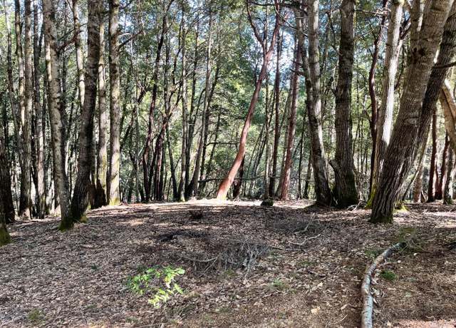 Property at 24221 Buckeye Ln, Willits, CA 95490