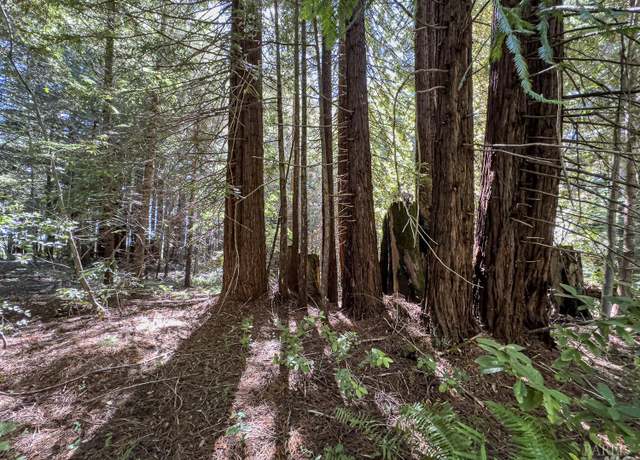 Property at 42180 Deer Trl, The Sea Ranch, CA 95497