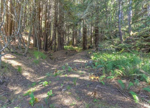 Property at 332 Antler Close, The Sea Ranch, CA 95497