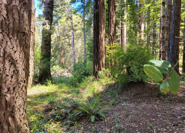 Property at 315 Chinquapin Ln, The Sea Ranch, CA 95497