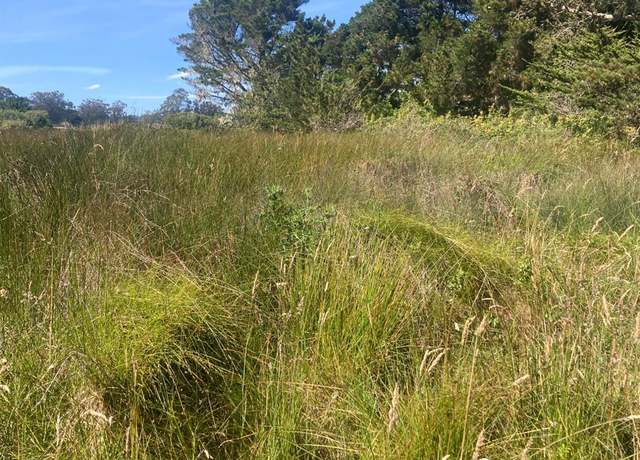 Property at 0 Juniper Rd, Bolinas, CA 94924