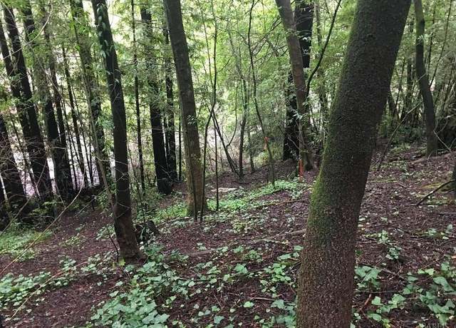 Property at 0 14788 Canyon 4 Rd, Guerneville, CA 95446