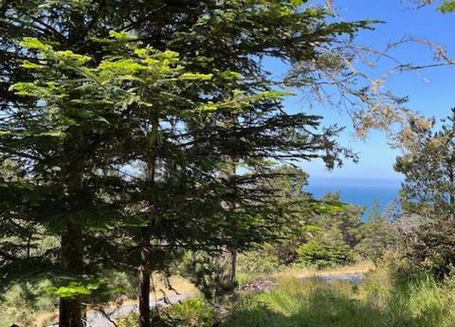 Property at 22091 Lee Dr, Timber Cove, CA 95450