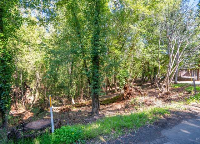 Property at 10619 Woodside Dr, Forestville, CA 95436
