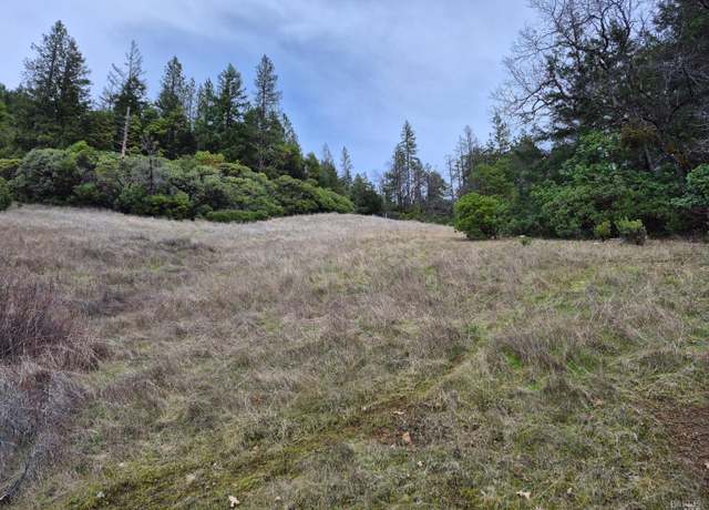 Property at 5376 Wild Iris Ln, Willits, CA 95490