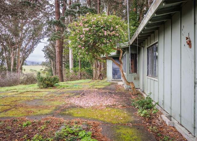 Bolinas Property For Sale