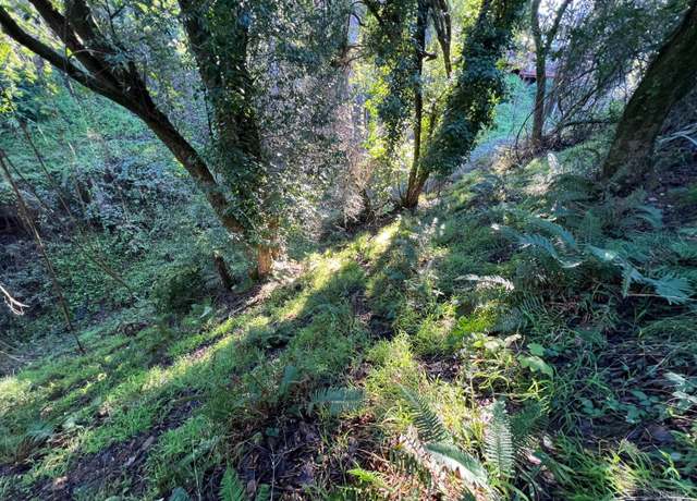 Property at 38 Madera Way, Mill Valley, CA 94901