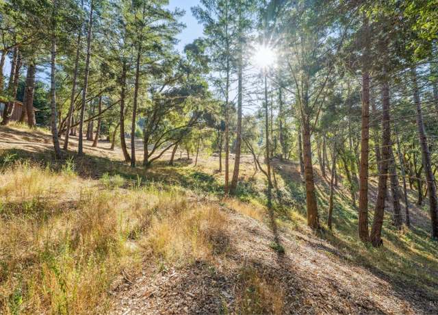 Property at 5 Chaparral Ln, San Geronimo, CA 94963
