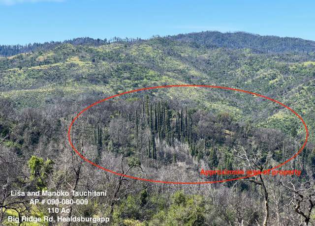 Property at 0 Big Ridge Rd, Healdsburg, CA 95448