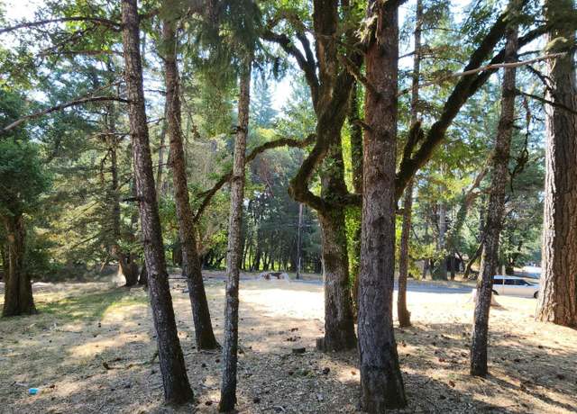 Property at 25331 Sherwood Rd, Willits, CA 95490