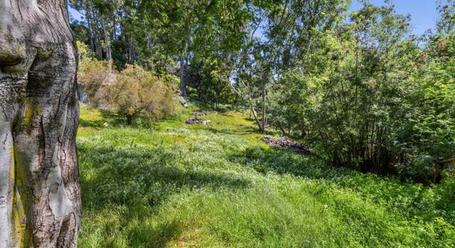 Photo of 50 Montecito Rd, San Rafael, CA 94901