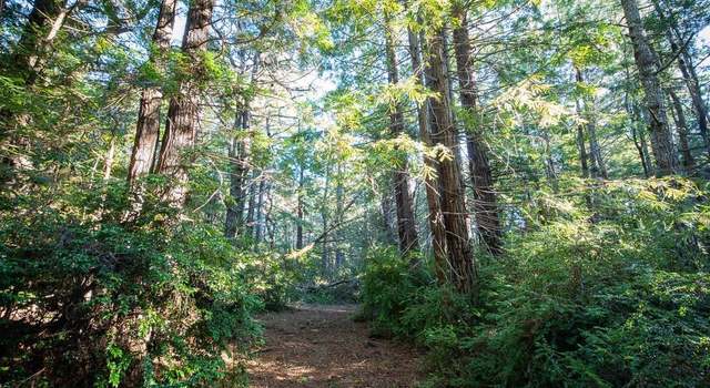 Photo of 0 Zettler Rd, Point Arena, CA 95468