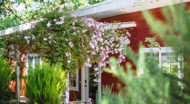 Photo of 8502 Orchard Rd, Forestville, CA 95436