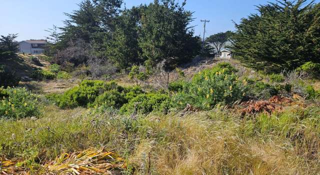 Photo of 315 Driftwood Ave, Bodega Bay, CA 94923