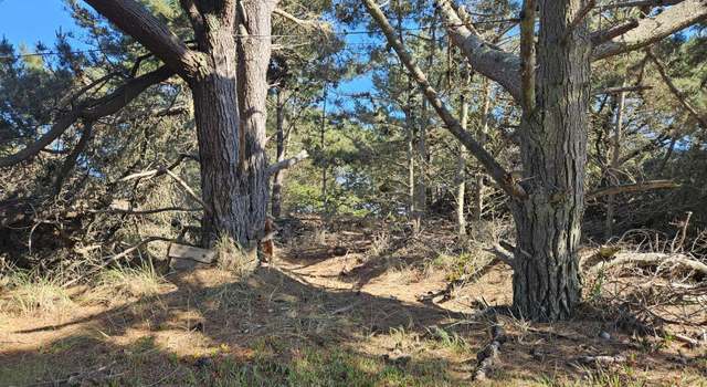 Photo of 340 Driftwood Ave, Bodega Bay, CA 94923