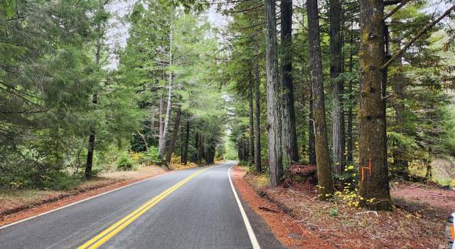 Photo of 0 Branscomb Rd, Branscomb, CA 95417