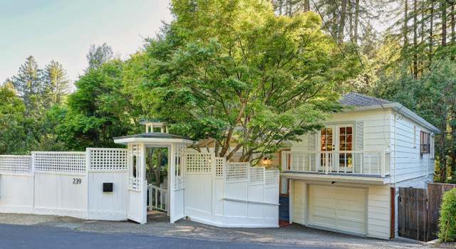 Photo of 239 W Blithedale Ave, Mill Valley, CA 94941