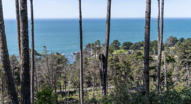 Photo of 22003 Smith Ct, Timber Cove, CA 95450