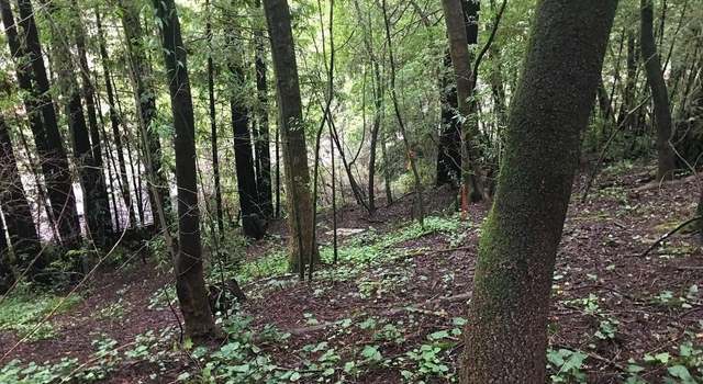 Photo of 0 14788 Canyon 4 Rd, Guerneville, CA 95446