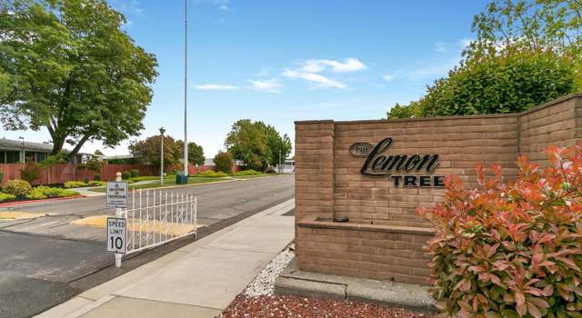 Photo of 155 Lemon Tree Cir, Vacaville, CA 95687